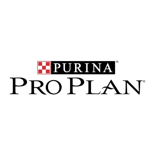 Pro Plan