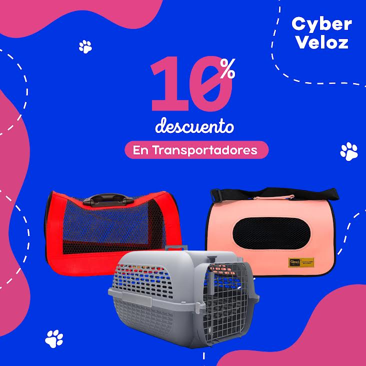 Gatos Accesorios y Transportadores