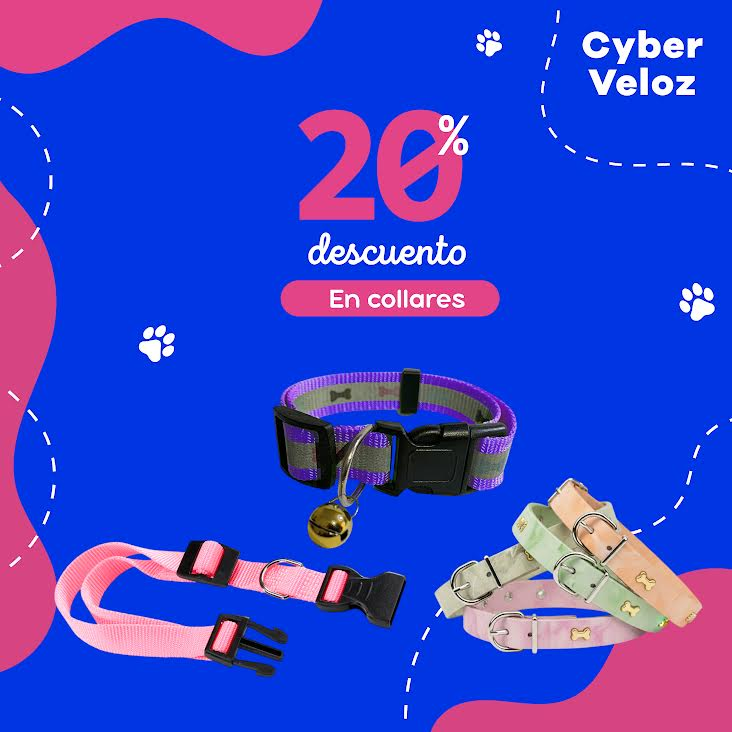 Perros Collares y Correas