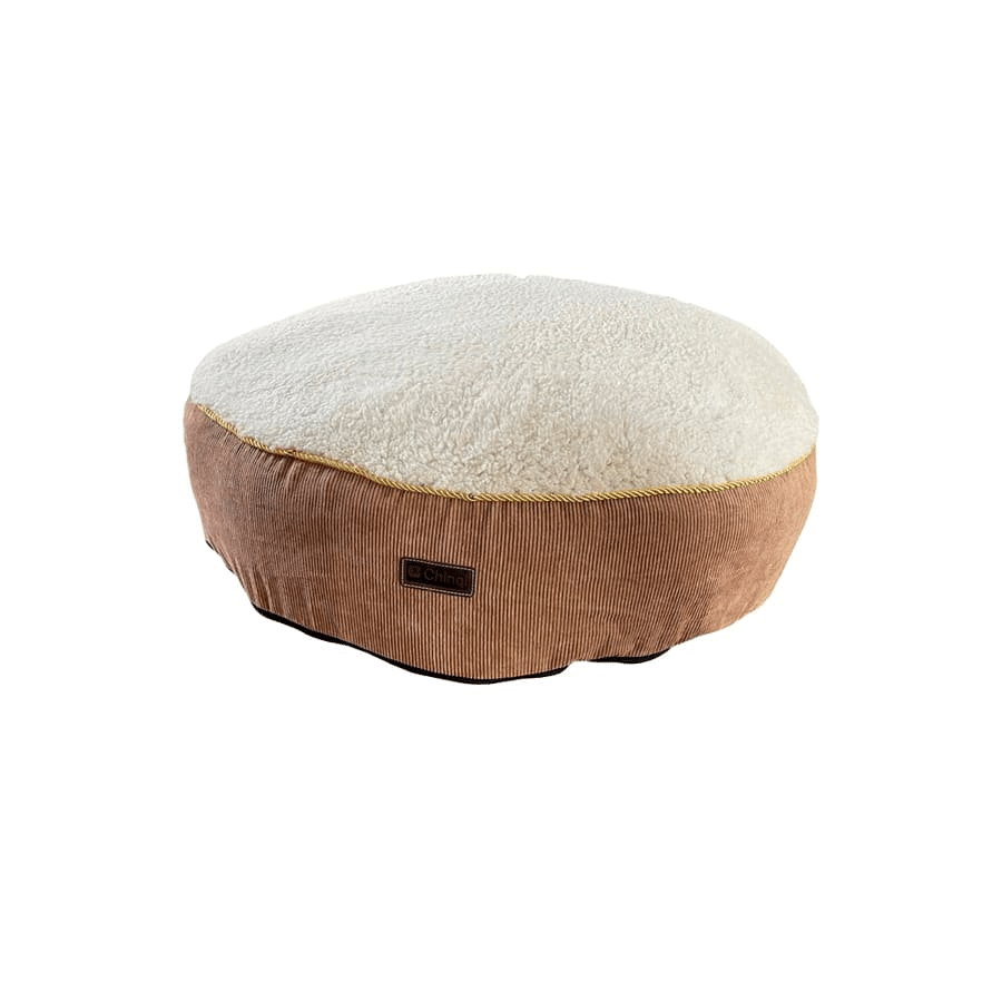 Chinqi Confort Orbed Tayra - L