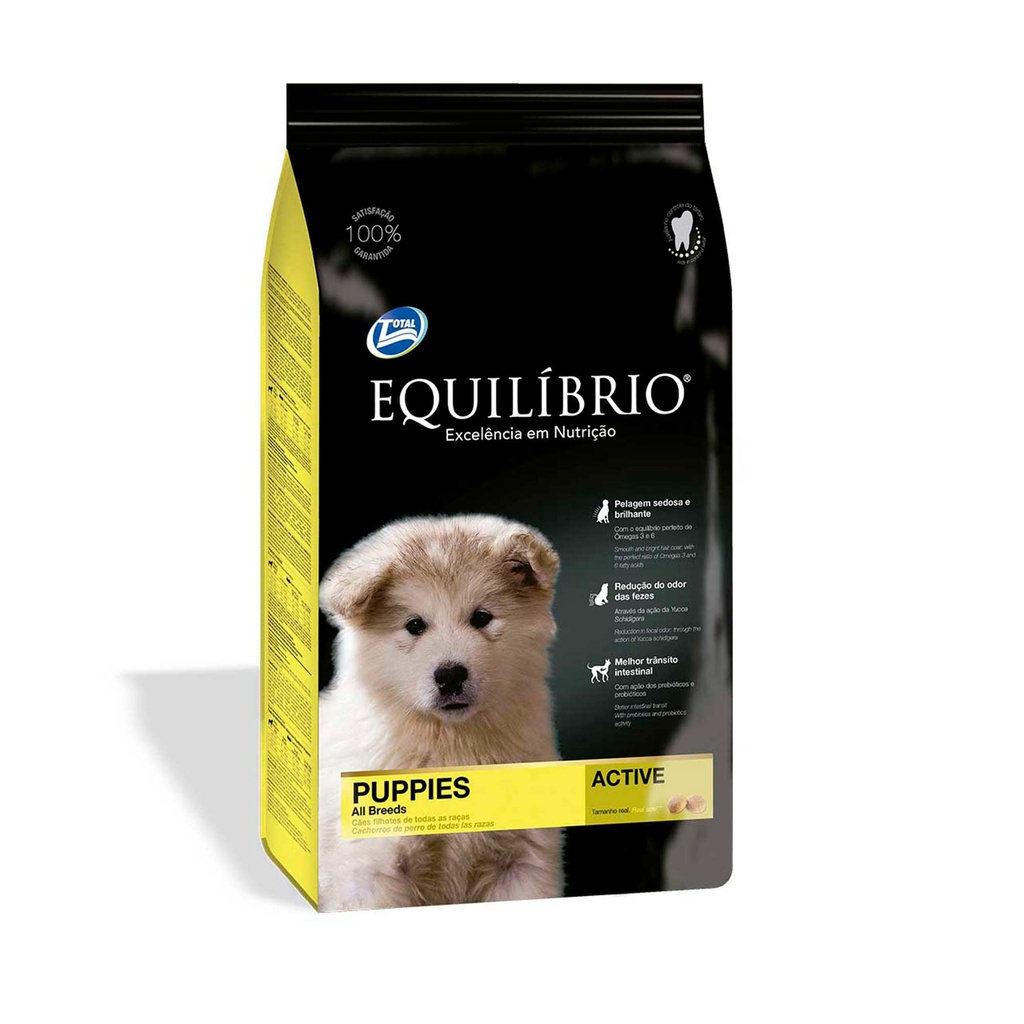 Equilibrio Puppies all breeds