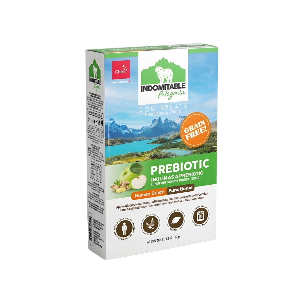 Indomitable Patagonia Prebiotic Apple-Ginger