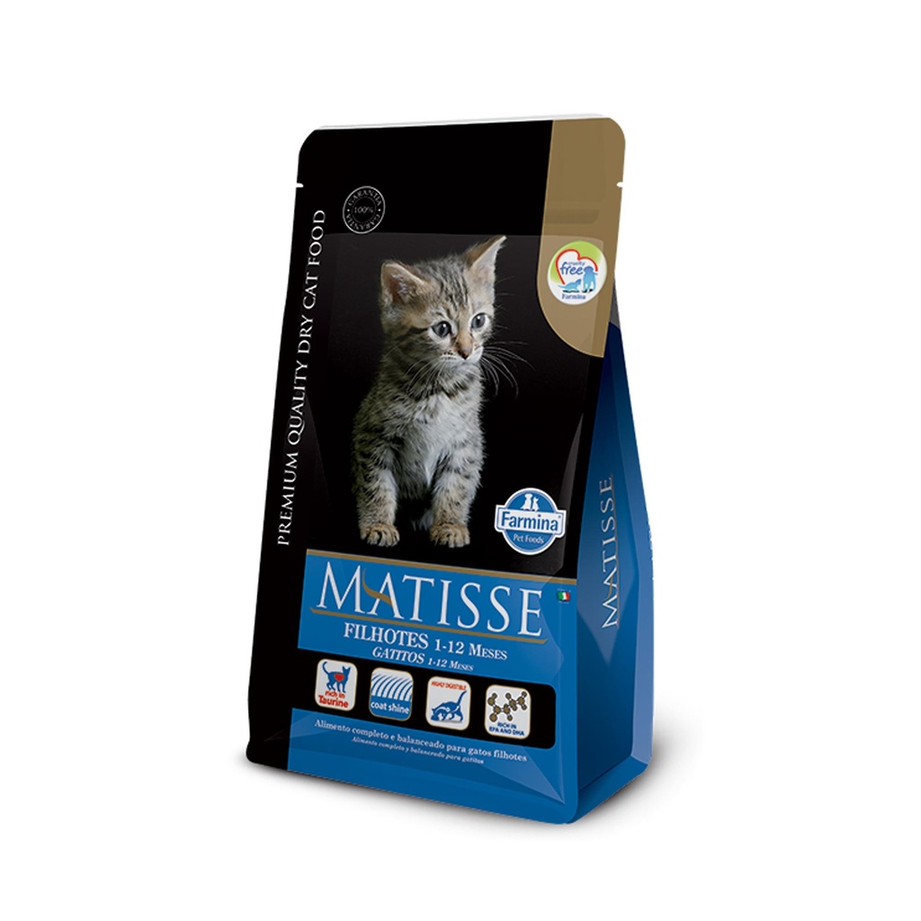 MATISSE FILHOTE GATITOS