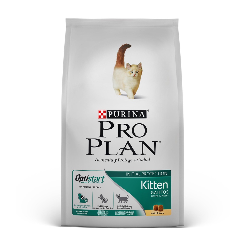 Pro Plan Kitten