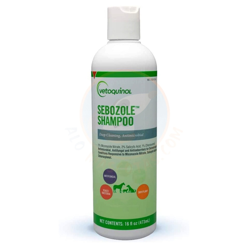 SEBOZOLE SHAMPOO