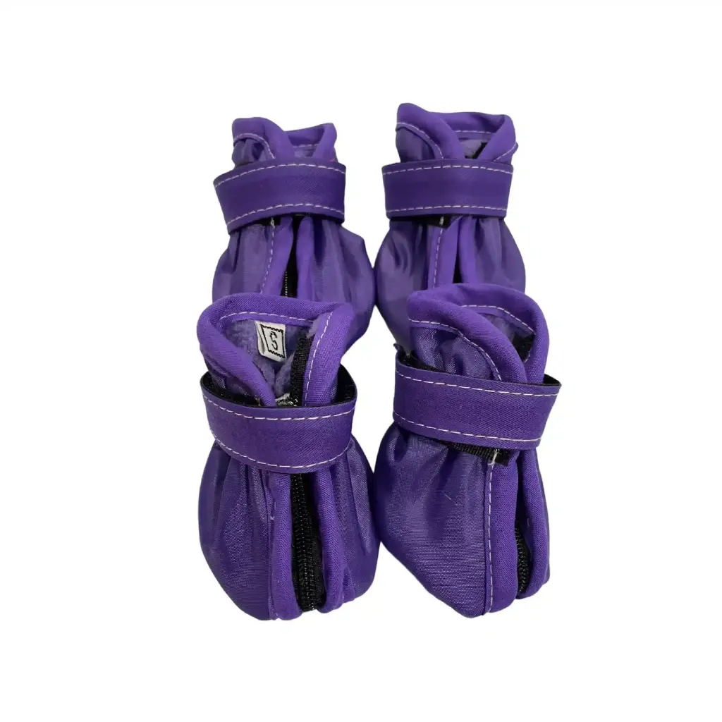 Zapatos Morado
