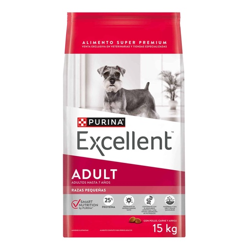 [MV001796] Excellent Adult Raza Pequeña Smart