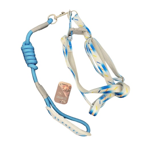 Arnes Spring - Celeste