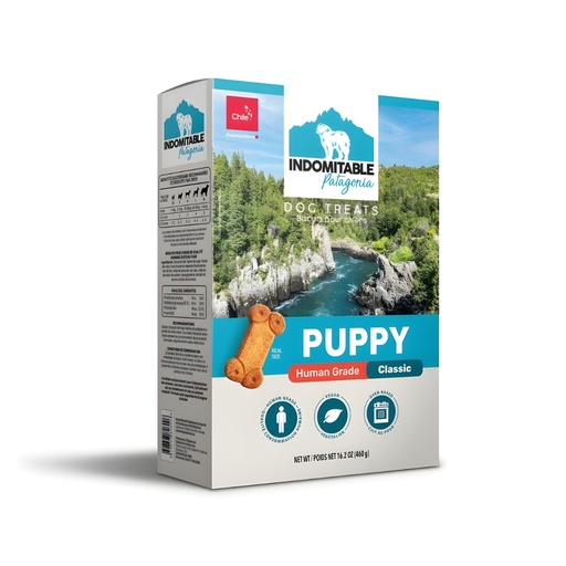 [MV004673] Indomitable Patagonia Puppy Classic
