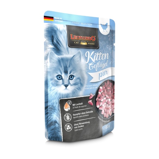 [MV003933] Leonardo Kitten Ave
