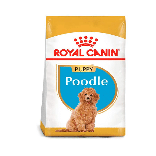 [MV001369] Royal Canin Puppy Poodle Bhn