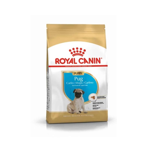 [MV004184] Royal Canin Puppy Pug Bhn