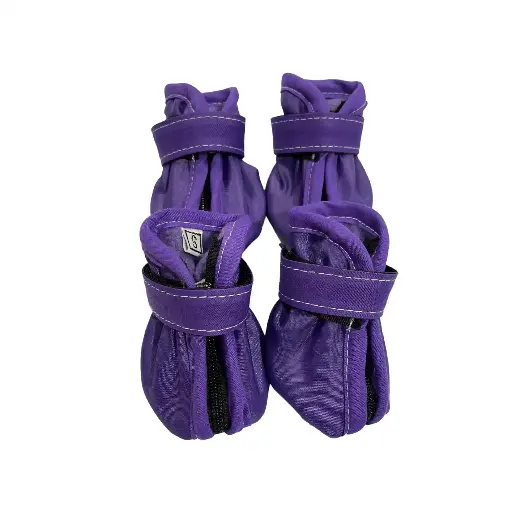 Zapatos Morado