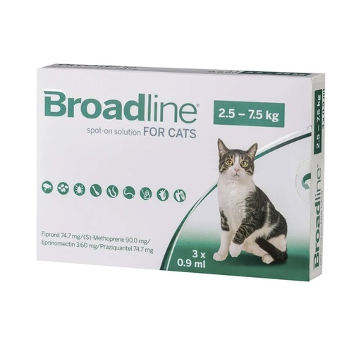 [MV000838] BROADLINE CAT LARGE X JERINGA (2.5 - 7.4 KG)