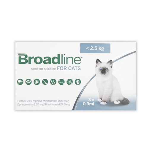 [MV000837] BROADLINE CAT SMALL X JERINGA (MENOS DE 2.5 KG)